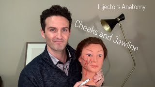 Injectors Anatomy Safer Techniques for Cheeks and Jawline [upl. by Diraj]