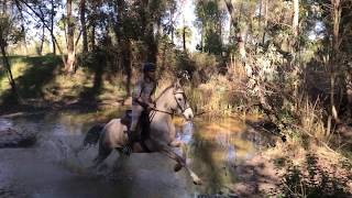 Horse amp dog crosscountry in Spain [upl. by Sanford]