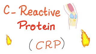 CReactive Protein CRP  Inflammation  Acute phase reactant [upl. by Swords]