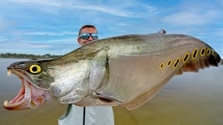 INVASIVE Fish are Taking OverCatch Clean Cook Clown Knife Fish amp Snakehead [upl. by Aelahc]