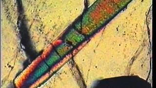 Unaxial minerals  procedures for determining optical properties [upl. by Nole]