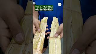 2024 की सबसे बेस्ट गन्ना मशीन  बिना बिजली चलेगी  New Ganna Machine India Best Sugarcane vrshorts [upl. by Welles]