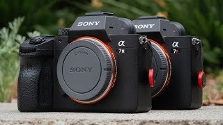 Sony a7III VS a7RIII User Experience Review  BEST Hybrid Mirrorless Cameras of 2019 [upl. by Gare]