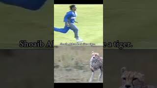 shoaib akhtar x chethah  foryou cricket shoaibakthar foryou vairalshort growmyaccount [upl. by Sinnylg]