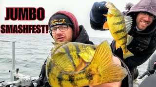 Spring JUMBO Perch Fishing DO NOT WATCH [upl. by Mirella306]