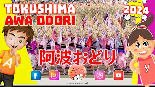 Festival Awa Odori 徳島市阿波おどり 2024 🎆 Tokushima Matsuri [upl. by Elbam426]