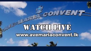 Ave Maria Convent Live Stream [upl. by Silsbye]