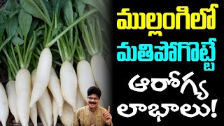 ముల్లంగిలో మతిపోగొట్టే ఆరోగ్య లాభాలు Mind Blowing facts about RADISH drmuralimanoharchirumamilla [upl. by Gherardi]