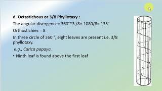 Types of Phyllotaxy Arrangement of Leaves [upl. by Cardinal]