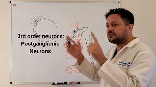 Horners Syndrome 1  Neuroanatomy [upl. by Emmons]