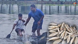 ഏറ്റവും ഇറക്കവും നിൽക്കുമ്പോൾ വലവളച്ചു പിടിക്കുന്ന മീൻEarth LoversMediaReallifevlog [upl. by Haukom]