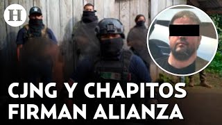 ¡Unidos contra El Mayo Chapitos y “El Mencho” formalizan alianza para combatir a “La Mayiza” [upl. by Letnuhs]