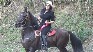 Cabalgata en Caicedonia Fiestas Aniversarias 108 Años [upl. by Clary411]