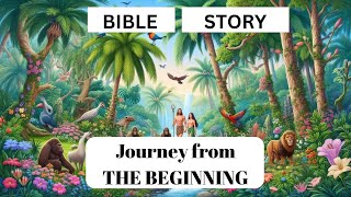 Gods 7Day Creation Journey from the Beginning  Animated Bible Story for Kids [upl. by Nasar761]