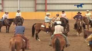 Buck Brannaman Horse Rush TV Australia Part 2 [upl. by Reine]