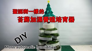 DIY像聖誕樹一樣的寶塔式苔蘚加濕養殖培育器，實現懶人苔蘚自由。Tower type automatic humidifier for moss farming [upl. by Yren]