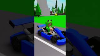 CRAZY KARTS RACE in BROOKHAVEN ROBLOX [upl. by Horlacher]