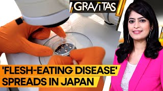 Gravitas Flesheating disease spreading at record rate in Japan [upl. by Milly]