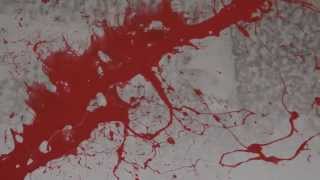 Splatter on the wall  Free Horror Stock Footage [upl. by Nerual]