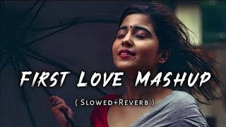 Gum Ho Gaya DilSlowed ReverbNew Lofe Mashup Song 2024music newsong song [upl. by Yesoj]