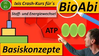 Basiskonzepte der Biologie  eine Übersicht  15 Punkte im Biologie Abitur  so geht´s [upl. by Ahseikram226]