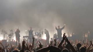 Editors  Papillon live at WGT 2024 [upl. by Hanala]