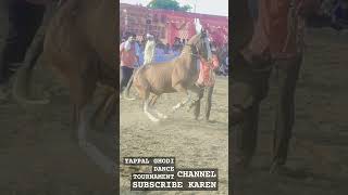 GHODI DANCE TOURNAMENT CHAPPAL BHAI AUR CHANNEL KO SUBSCRIBE KAREN [upl. by Llewellyn]