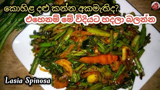 බඩ පිරෙන්න බත් කන්න කොහිළ දළු මෙහෙම හදන්න kohila dalu recipe Lasia spinosa kohila dalu themparadu [upl. by Hachmann648]