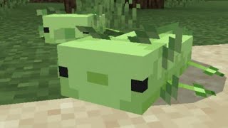 MCPE GREEN AXOLOT [upl. by Ahsael]