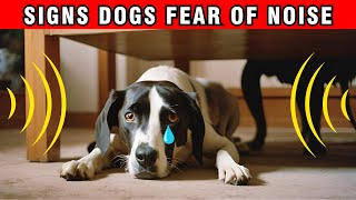 20 Signs Your Dogs of Being Afraid of Noise  Causes and Ways to Help Dogs Overcome This Fear [upl. by Denys]