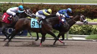 Gulfstream Park Replay Show  July 29 2017 [upl. by Odlaner]