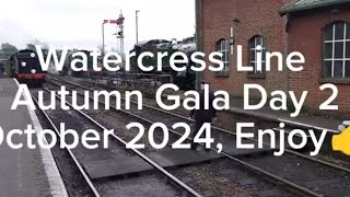 Watercress Line Autumn Gala Day 2  all the Locos enjoy [upl. by Rdnaskela]