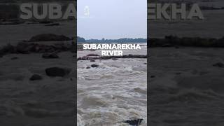 Subarnarekha River  100 days 100 rivers shorts upsc upscmotivation [upl. by Davin638]