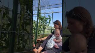 Baby sister and mommy work hard in the greenhouse 💛💚 [upl. by Enomor]