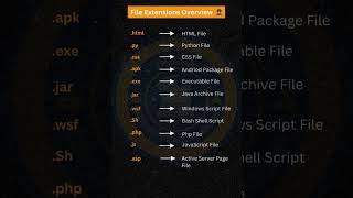 FILE EXTENSIONS extensions html python css windows javascript java microsoft files coding [upl. by Ardiek]