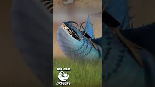 Dragon Guide ThunderDrum EXPLAINED dragon httyd2 httyd httyd3 shorts httydfandom httydedit [upl. by Jonis]