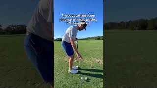 Penalty drop practice at TPC Sawgrass🥲🤷‍♂️ golfshorts [upl. by Calia176]