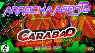 CARABAO  ARROCHA AGOSTO 2024  SÓ TOCA TOP [upl. by Nue665]