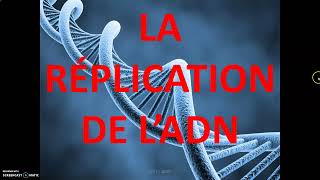 La réplication de lADN et la duplication des chromosomes au cours de la phase S [upl. by Shalom]