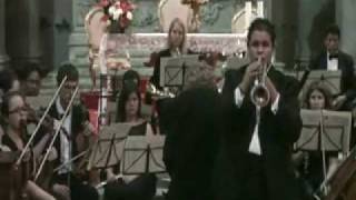 BEST PROPOSAL Joses proposal Third amp final movement from Haydn Trumpet Concerto in Eflat [upl. by Hpseoj]