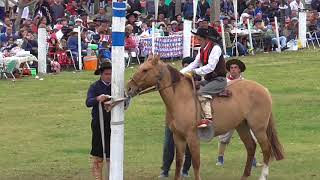 COCHELO FERNANDEZ EN ARROYO LEYES SANTA FE Solo Jineteadas  2018 [upl. by Gibeon681]