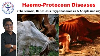 HemoProtozoan Diseases  Bovine Diseases  Lecture 01 [upl. by Zullo]