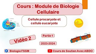 Biologie Cellulaire BCG S1 la Cellule Procaryote et Eucaryote Vidéo 2 [upl. by Iroak]