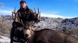 Rifle Mule Deer Hunt on the Book Cliffs  MossBack [upl. by Silverts]