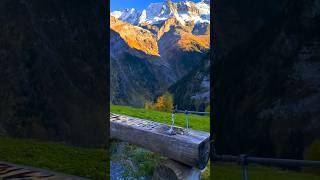 Switzerland 🇨🇭 travel nature explore switzerland adventure [upl. by Ainomar]