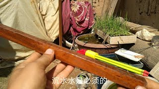 号称世界第一硬木，进口蛇纹木，花色好看，车成珠子怎么样 [upl. by Naras]