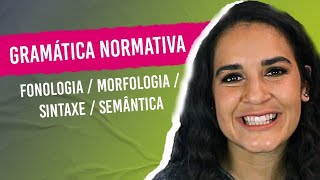 GRAMÁTICA NORMATIVA Fonologia Morfologia Sintaxe Semântica Aprenda a diferenciar [upl. by Lohse]