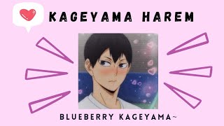 Crush lyric prank •• Kageyama Harem •• Blueberry Kageyama [upl. by Anatol192]