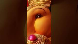 Bappa Morya 🙏🫶 youtube youtubeshorts svfya ganeshotsav ganeshchaturthi viralvideo viralshorts [upl. by Anig277]