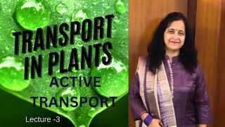 Active Transport  Transport in Plants  Explanation With Example  Biology Ocean [upl. by Mini]